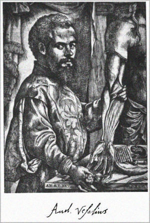 Vesalius-Authentic.jpg