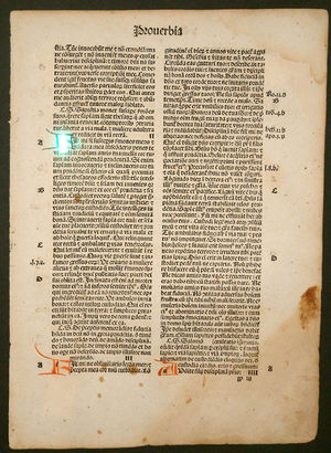 Incunabulum - Blackletter bible page.jpg