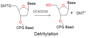 Phosphoramidite detritylation2.png