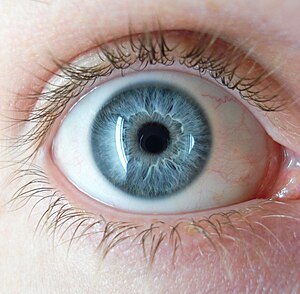 A blue eye.jpg