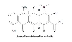 Doxycycline DEVolk.jpg