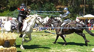 Jousting renfair.jpg