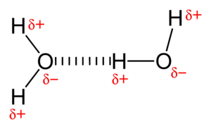 Hydrogen-bonding-in-water-2D.png