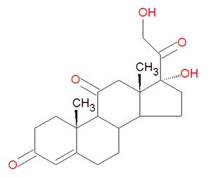 Cortisone structure.jpg