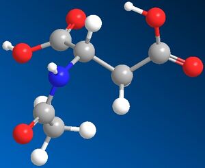 N-ACETYL-L-ASPARTATE.JPG