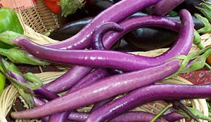 EggplantGatheringTogetherMachiawPink.jpg