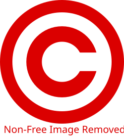 NonFreeImageRemoved.svg