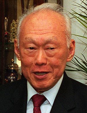 Lee Kuan Yew cropped.jpg